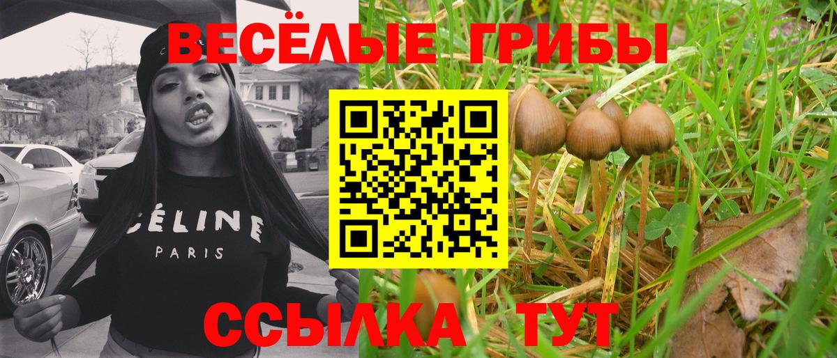 Верхняя Салда  Псилоцибиновые грибы прущие грибы  Вход с VPN 