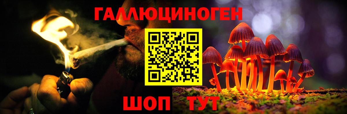 Галлюциногенные грибы Psilocybe Верхняя Салда
